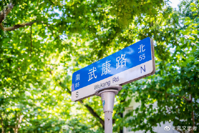 武康路位于上海市徐汇区,原名福开森路(route ferguson)