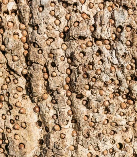 跑完步一身起鸡皮疙瘩(跑完步一身起鸡皮疙瘩还痒)