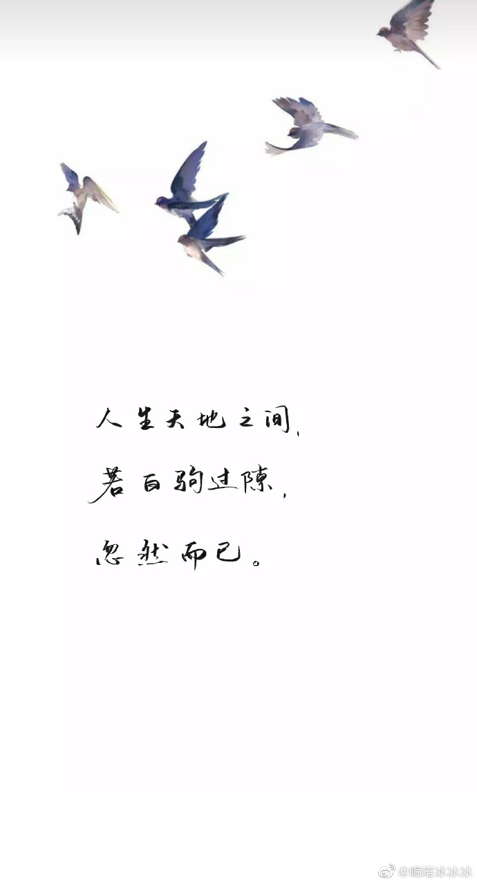 今日第四份九宫格来啦人生天地之间若白驹过隙忽然而已p1嘀