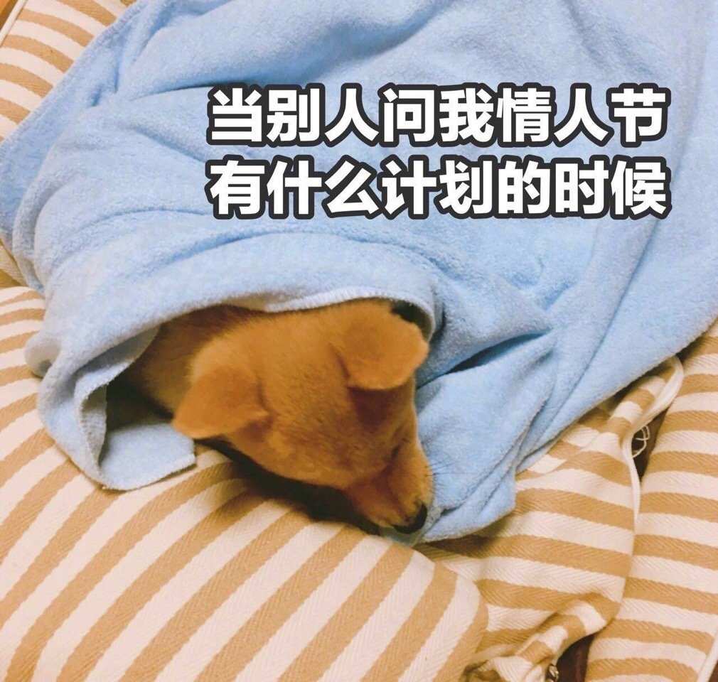 单身狗养生猜一成语_木猜一成语疯狂看图