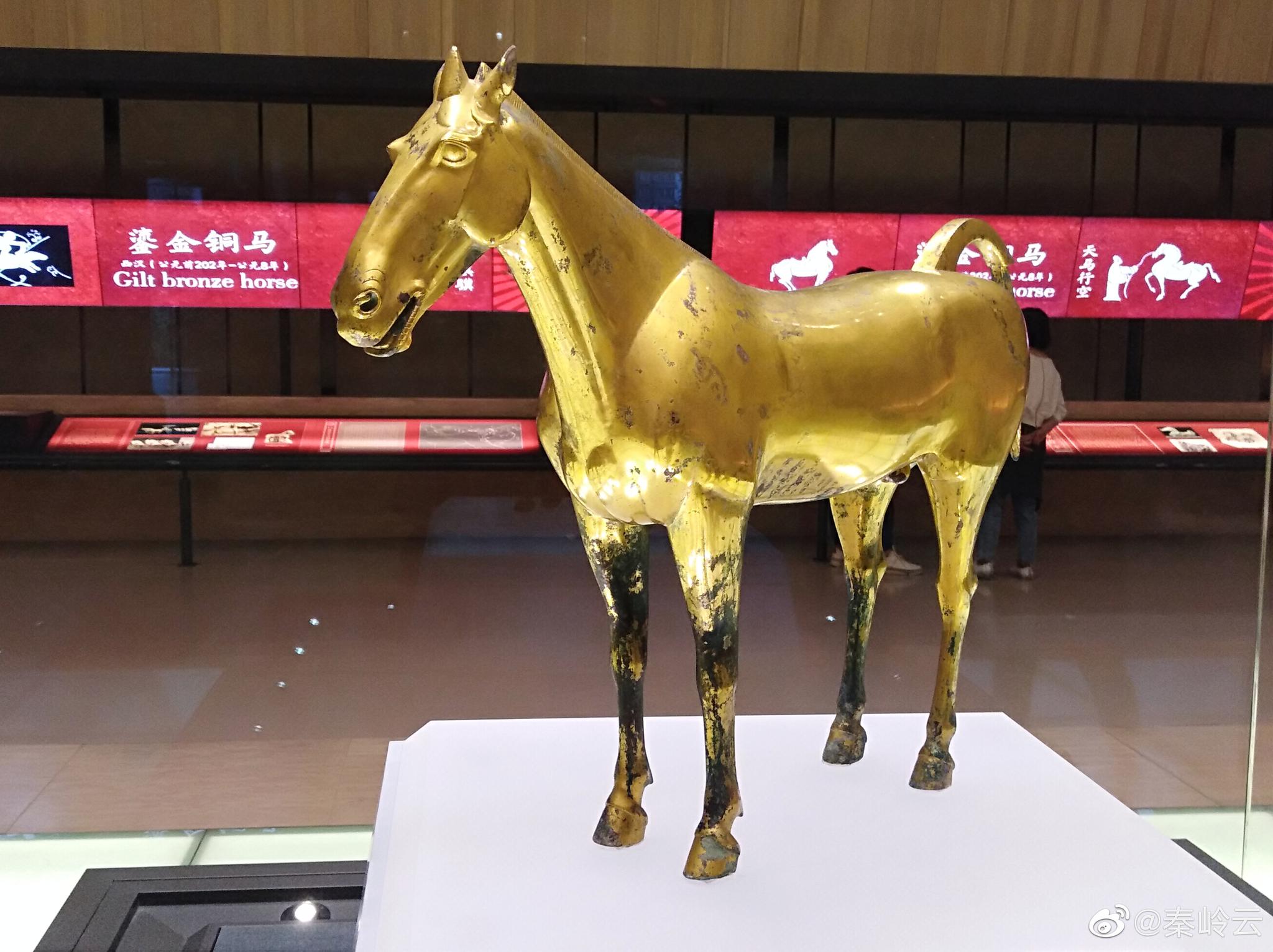 国家宝藏:天马西来