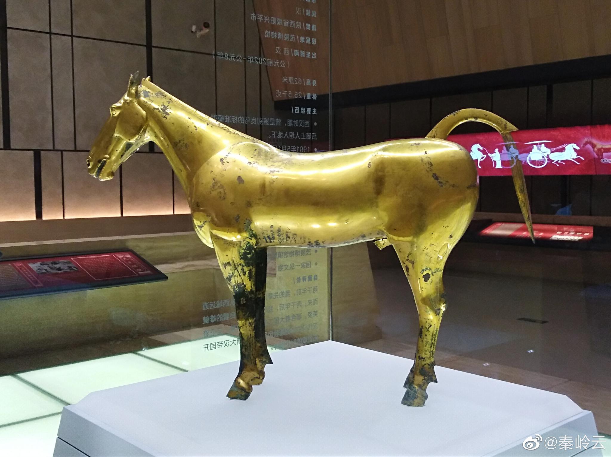 鎏金铜马是1981年陕西兴平茂陵一号随葬坑出土的一件文物.