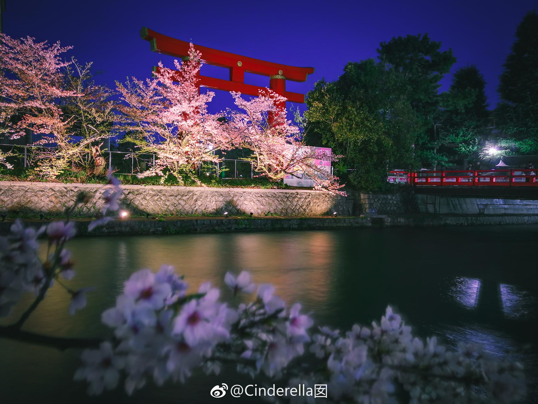 京都是夜樱最佳观赏地,因为可以欣赏夜樱的地方实在太多