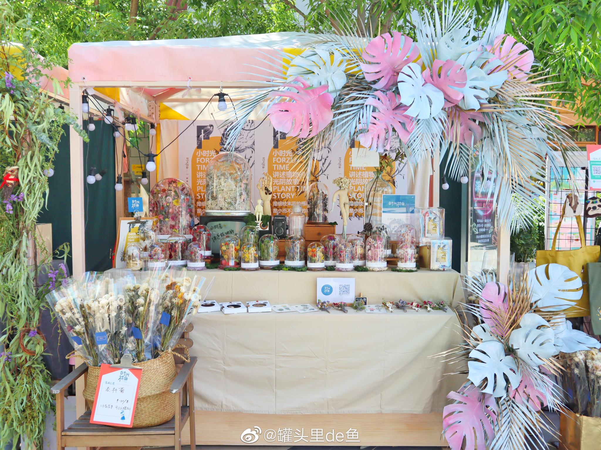 哪个女孩不喜欢鲜花呢?趁阳光明媚