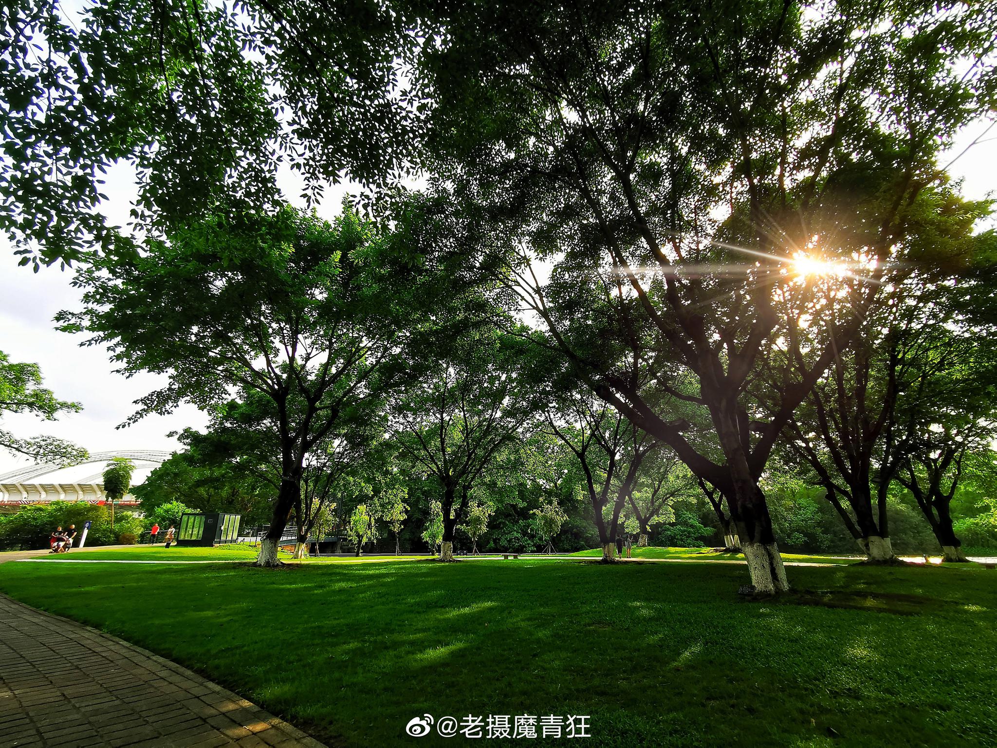 南国似暑北国春 绿秀江淮万木荫 南国似暑北国春 绿秀江淮万木荫
