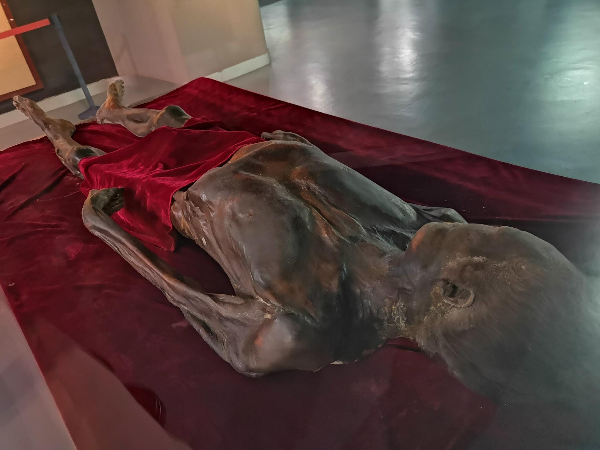 人体博物馆 干尸图片