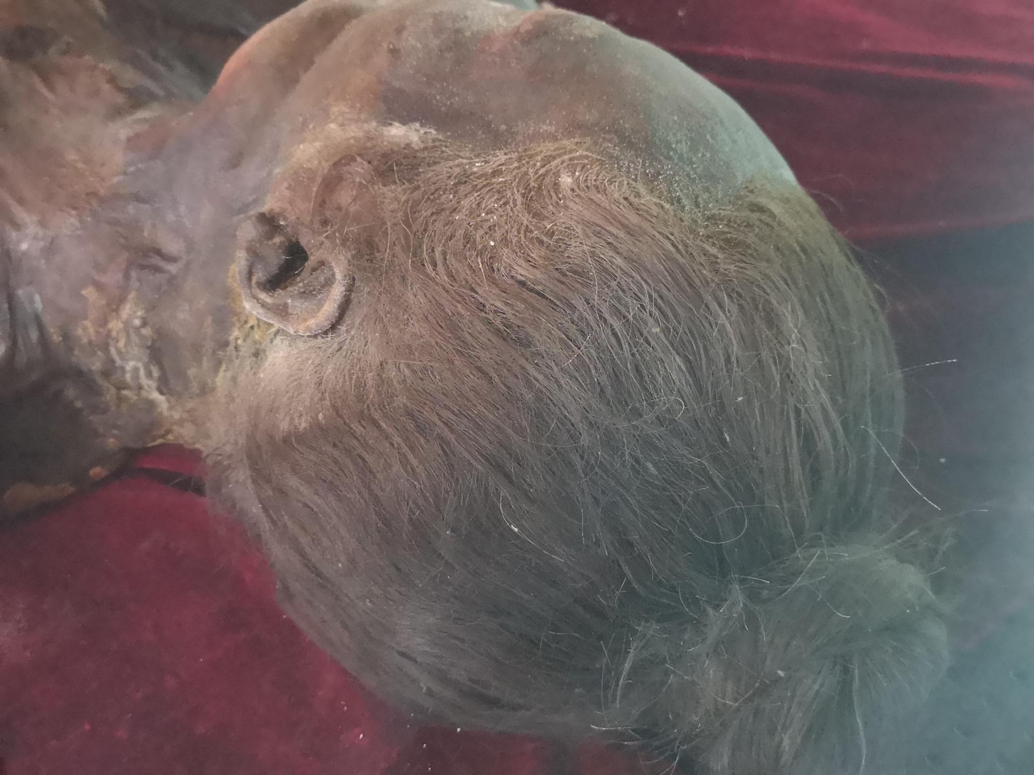 吐鲁番博物馆藏的古代干尸年代从3000多年到清代不等