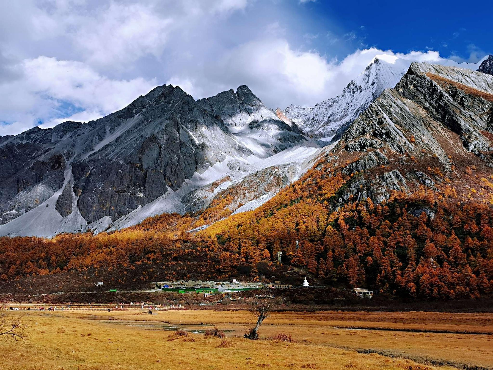 香格里拉,最美的是金秋._高清图集_新浪网
