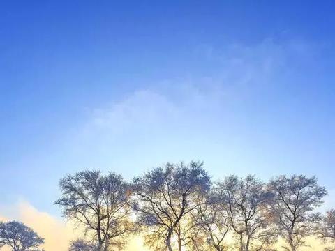 玩转“冬”北的纯白世界，错过一次又得等一年|松花江|雾凇|雾凇岛_新浪新闻