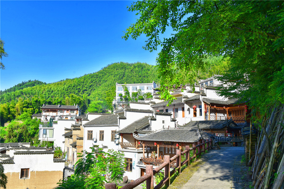 卧虎藏龙为何在此取景木坑竹海绝美景色令人神往