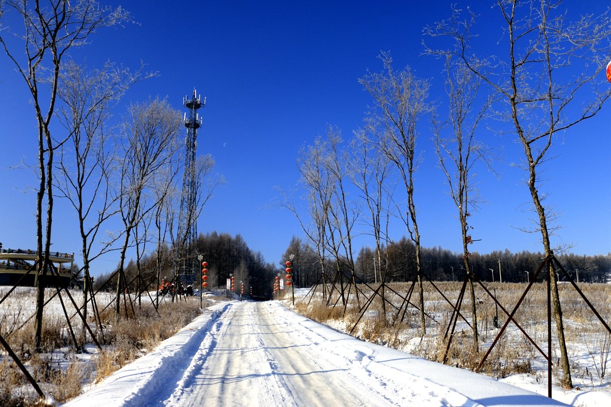 吉林省一年四季气候怎么样(吉林省一年四季气候怎么样呢)