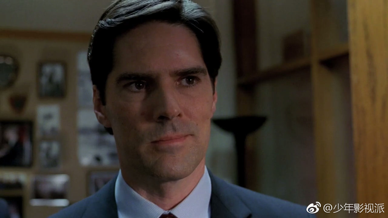 看到灰灰是菇凉在重制犯罪心理第一季的字幕真的是