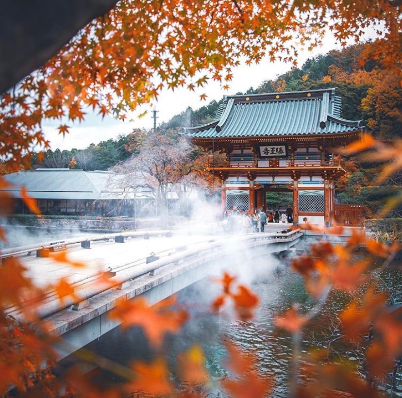 日本胜尾寺|红叶季的时候非常好看!cr._h1roya