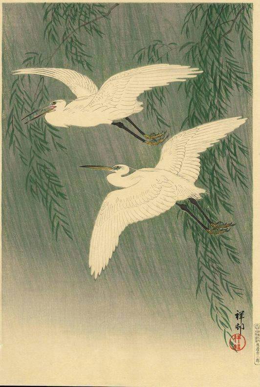 花鸟绘-日本江户时代版画家小原古邨 ohara koson