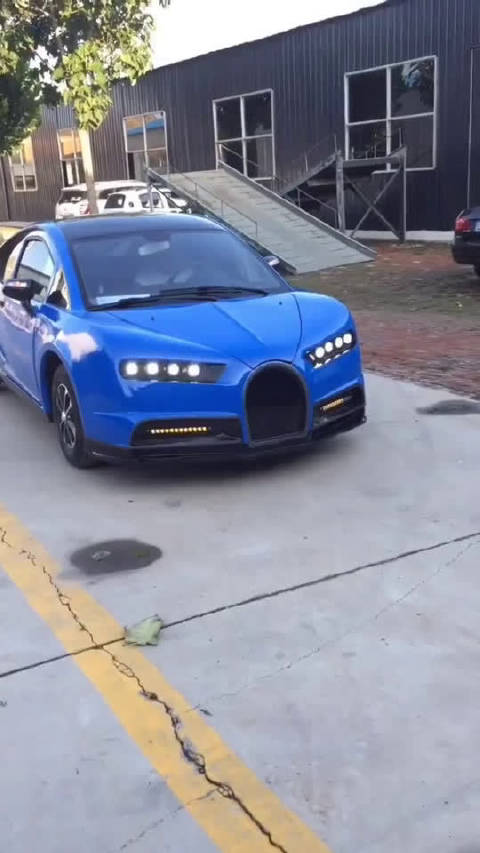 这叫布加迪威虫