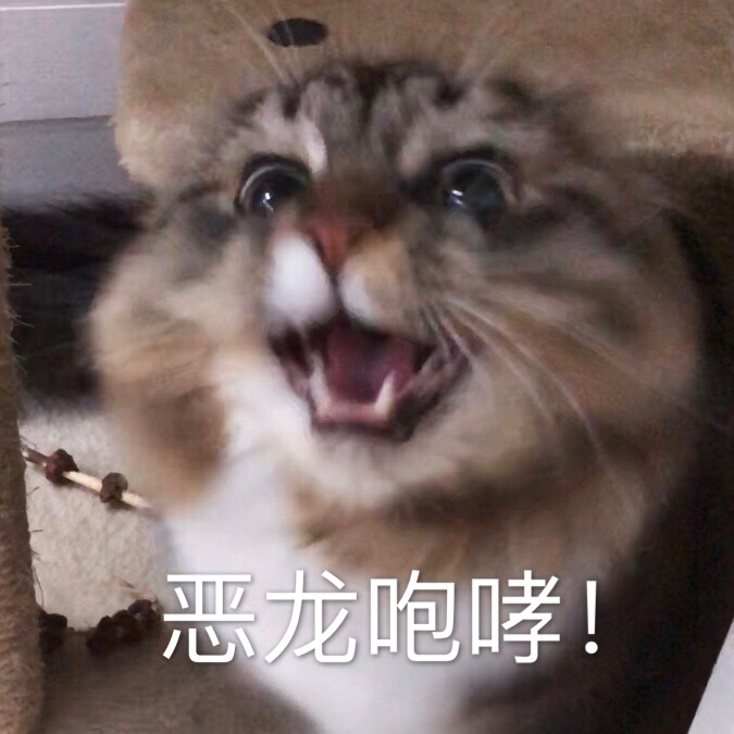 投稿小怂包道尔的日常终于知道这个反派的笑声是哪个小猫咪发
