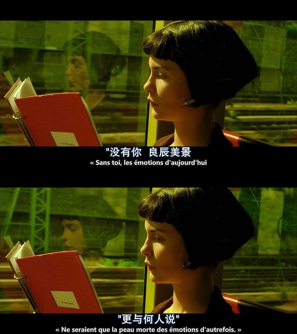 如果注定孤独那么我愿意去爱全世界天使爱美丽