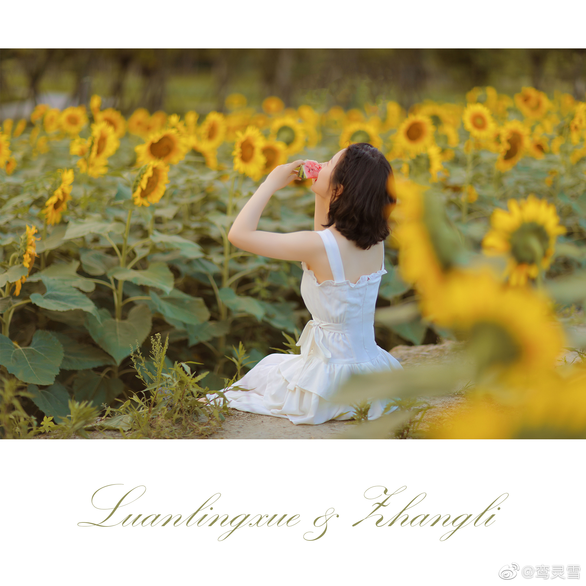 在向日葵花田里面奔跑的女孩太美好了