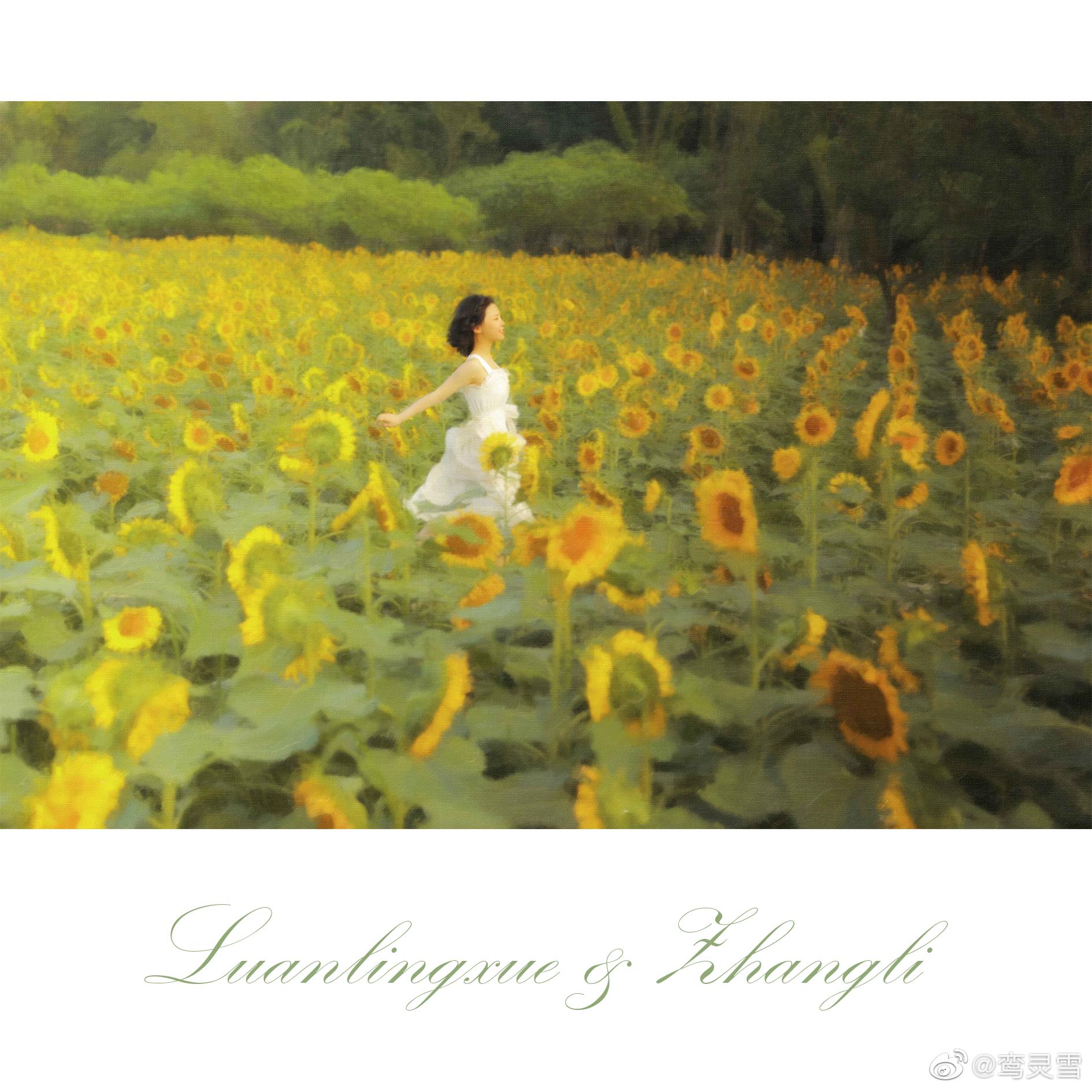 在向日葵花田里面奔跑的女孩太美好了