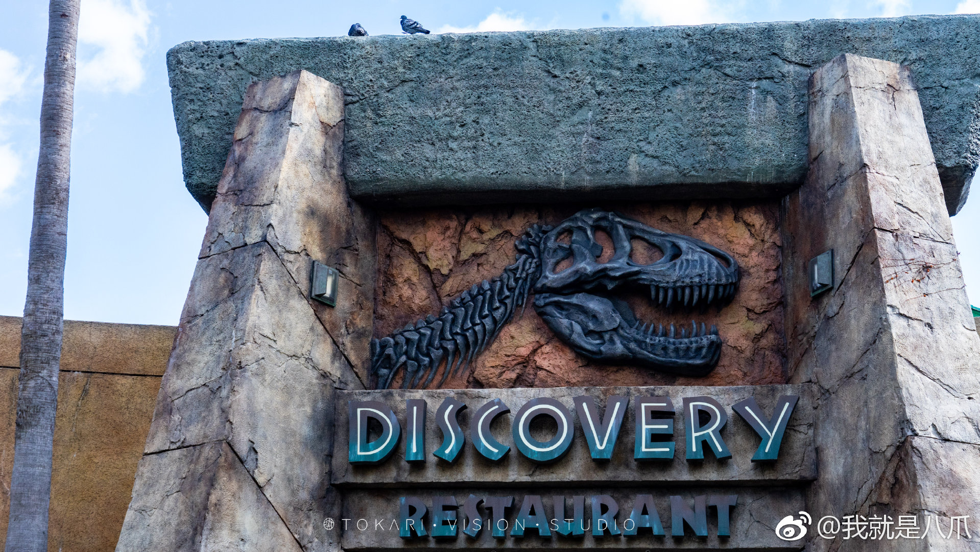 第一次在日本环球影城的侏罗纪公园区域的新发掘餐厅吃饭