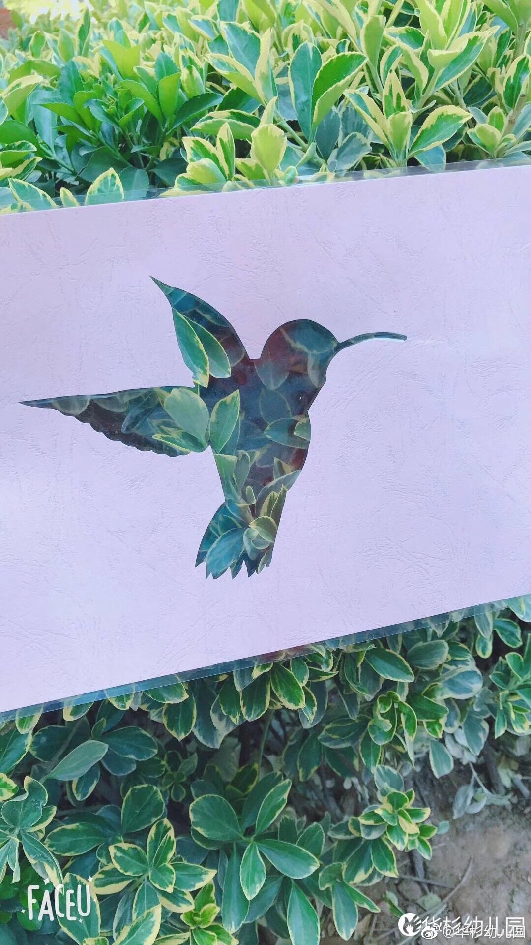 济南园-托班的宝们走出校园,给蝴蝶,蜻蜓穿上花衣裳