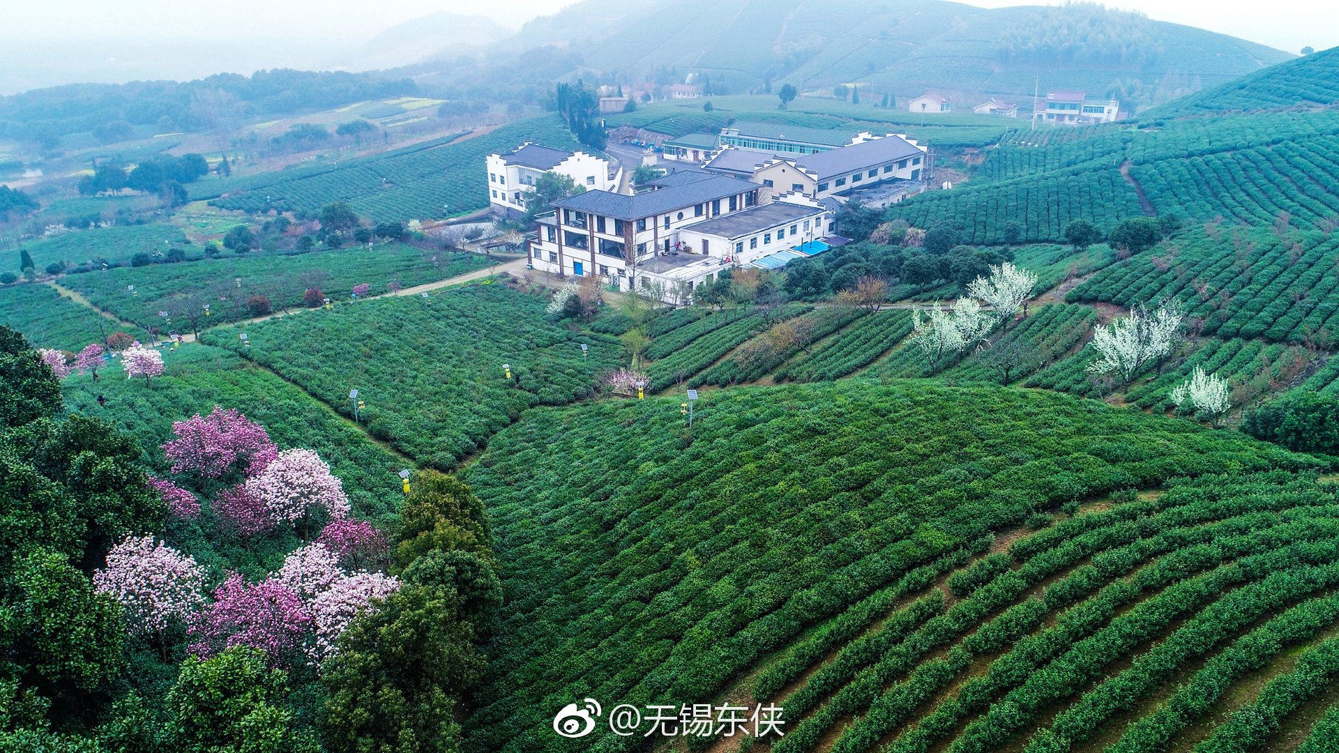 全国最美茶园宜兴市太华镇乾元茶场