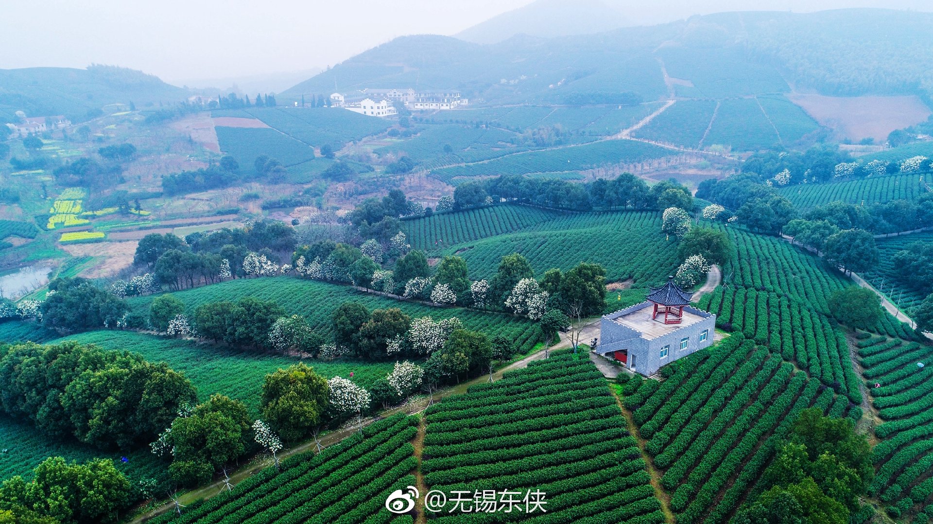 全国最美茶园宜兴市太华镇乾元茶场