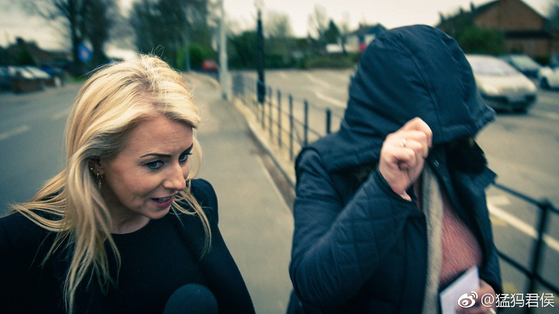 纪录片.bbc.英国学校丑闻.panorama.2019.the.academy.schools