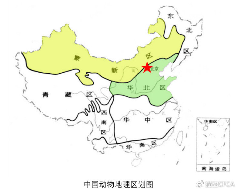 北京处在中国动物地理区划华北区和蒙新区的交界处,物种丰富,北方和
