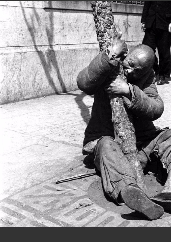 温故1942:中国人,你为何这么健忘|饥荒|中国政府|姥娘_新浪新闻