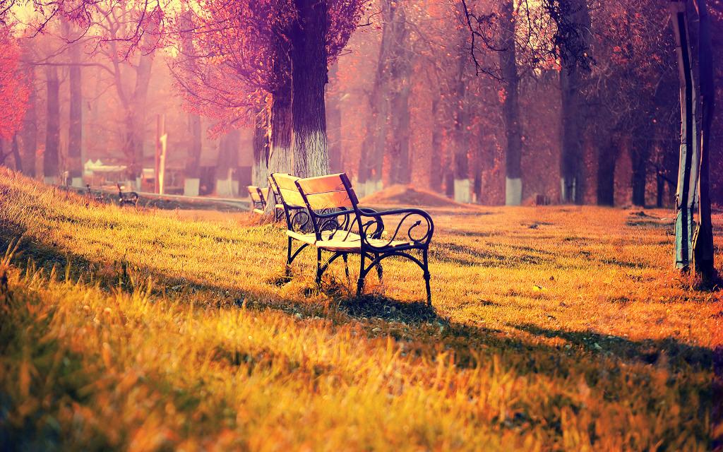 纳兰性德一首词写暮秋之景,山水美景让他的内心恢复平静安宁