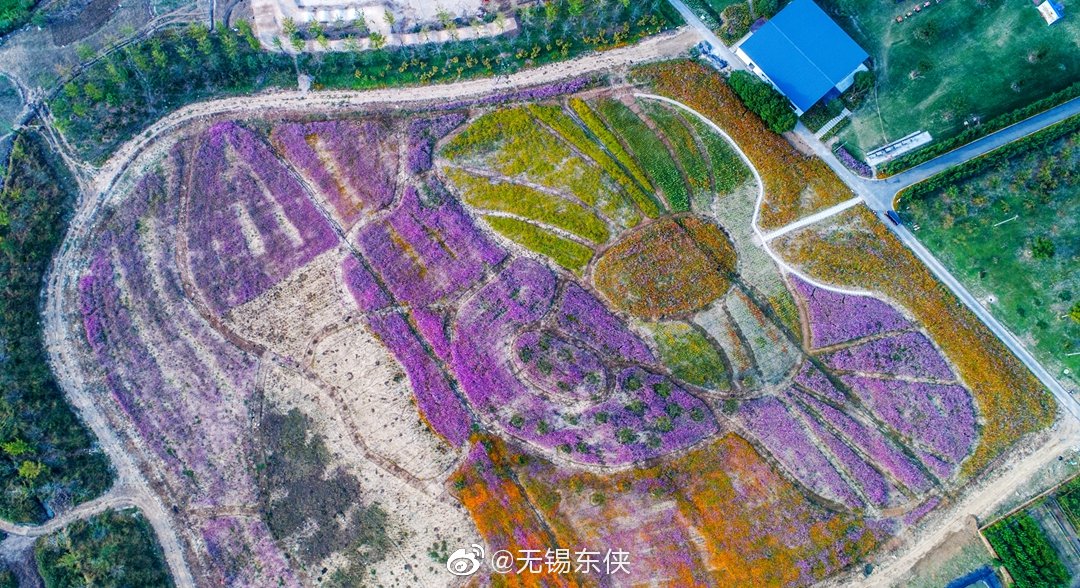 美丽的花海__财经头条