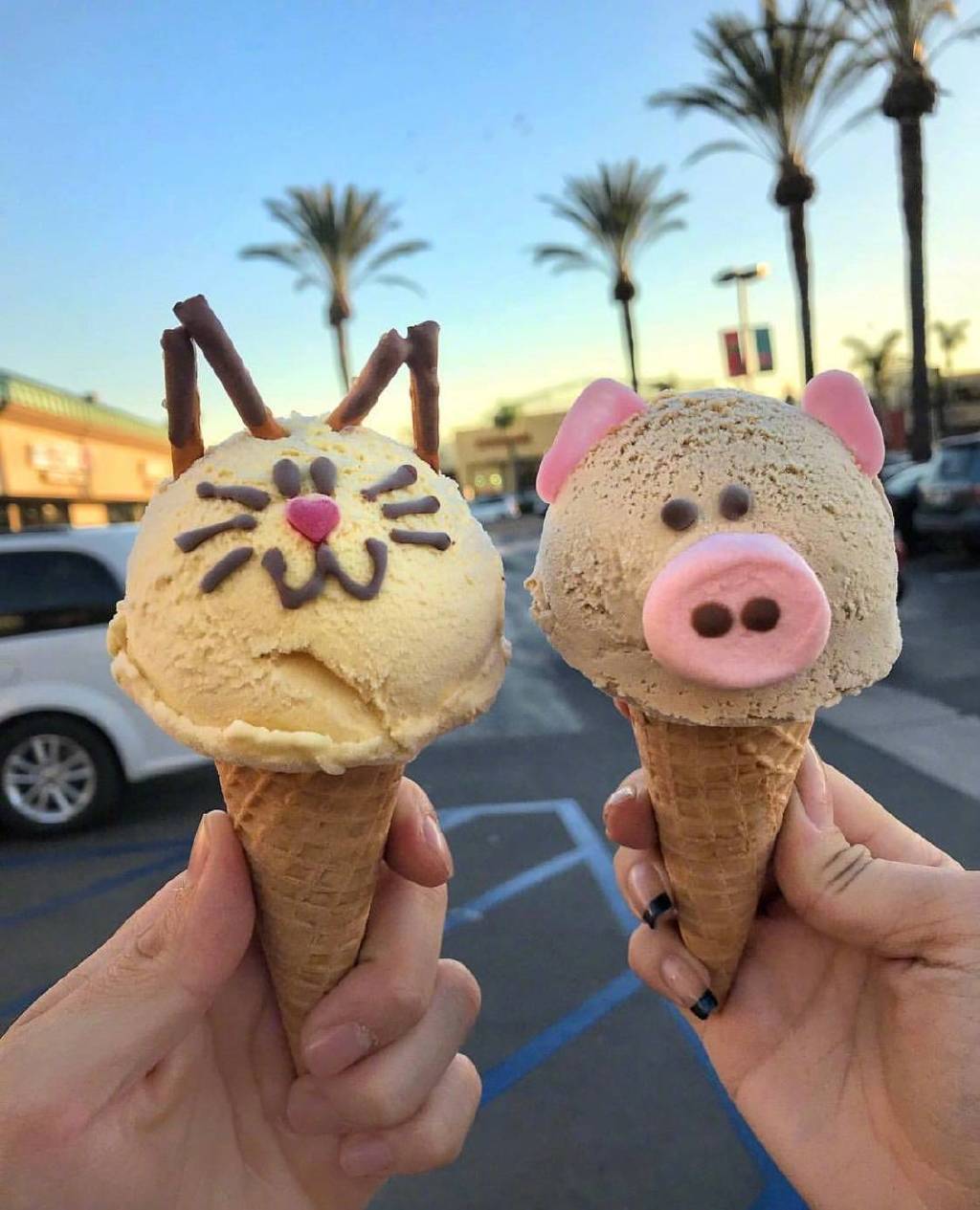 炒鸡可爱的动物冰淇淋