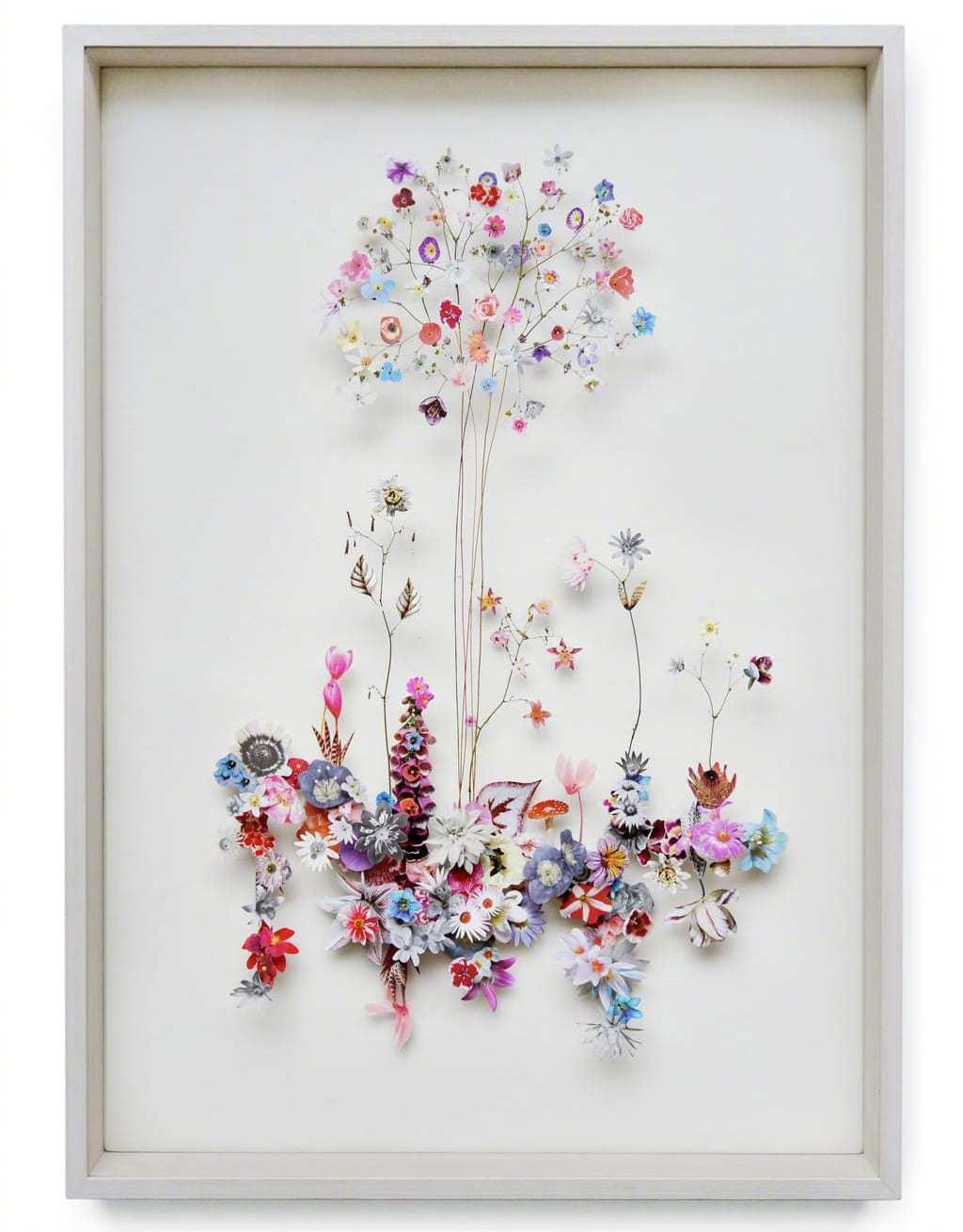 花草拼贴画作荷兰艺术家 anne ten donkelaar