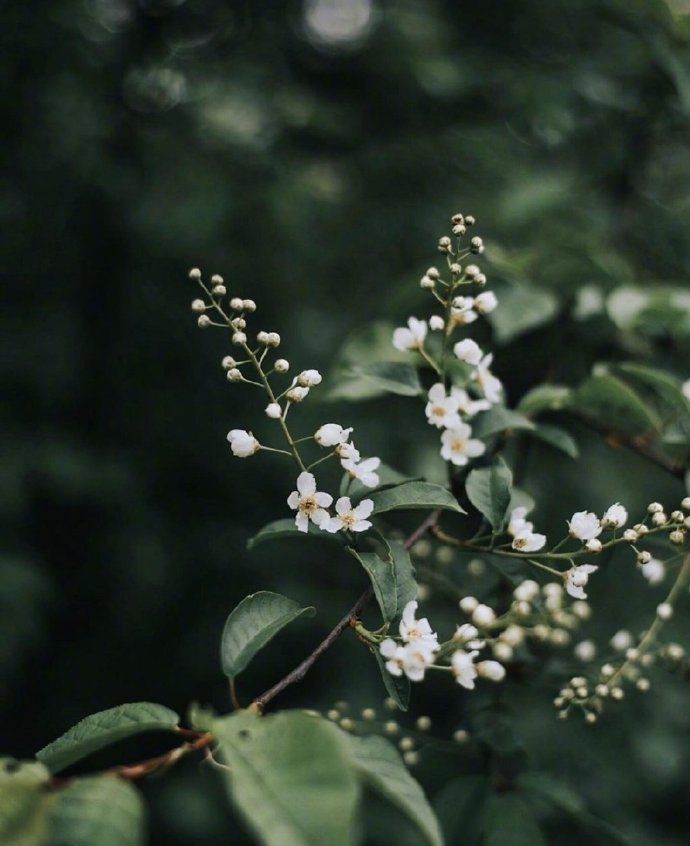最新消息披露：春雨可约可空降到底靠不靠谱？业内十年老兵的深度拆解与趋势预判
