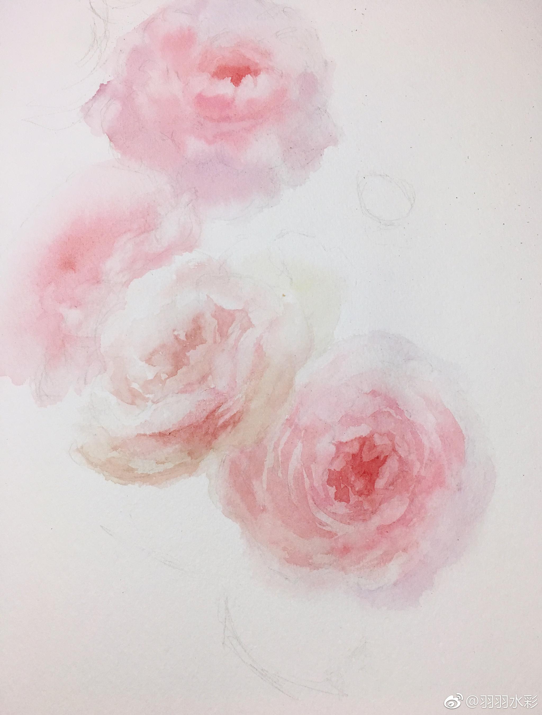 ケリア 4号(約33.324.2) 絵画 原画 植物 花 水彩 抽象 www.fahrschule