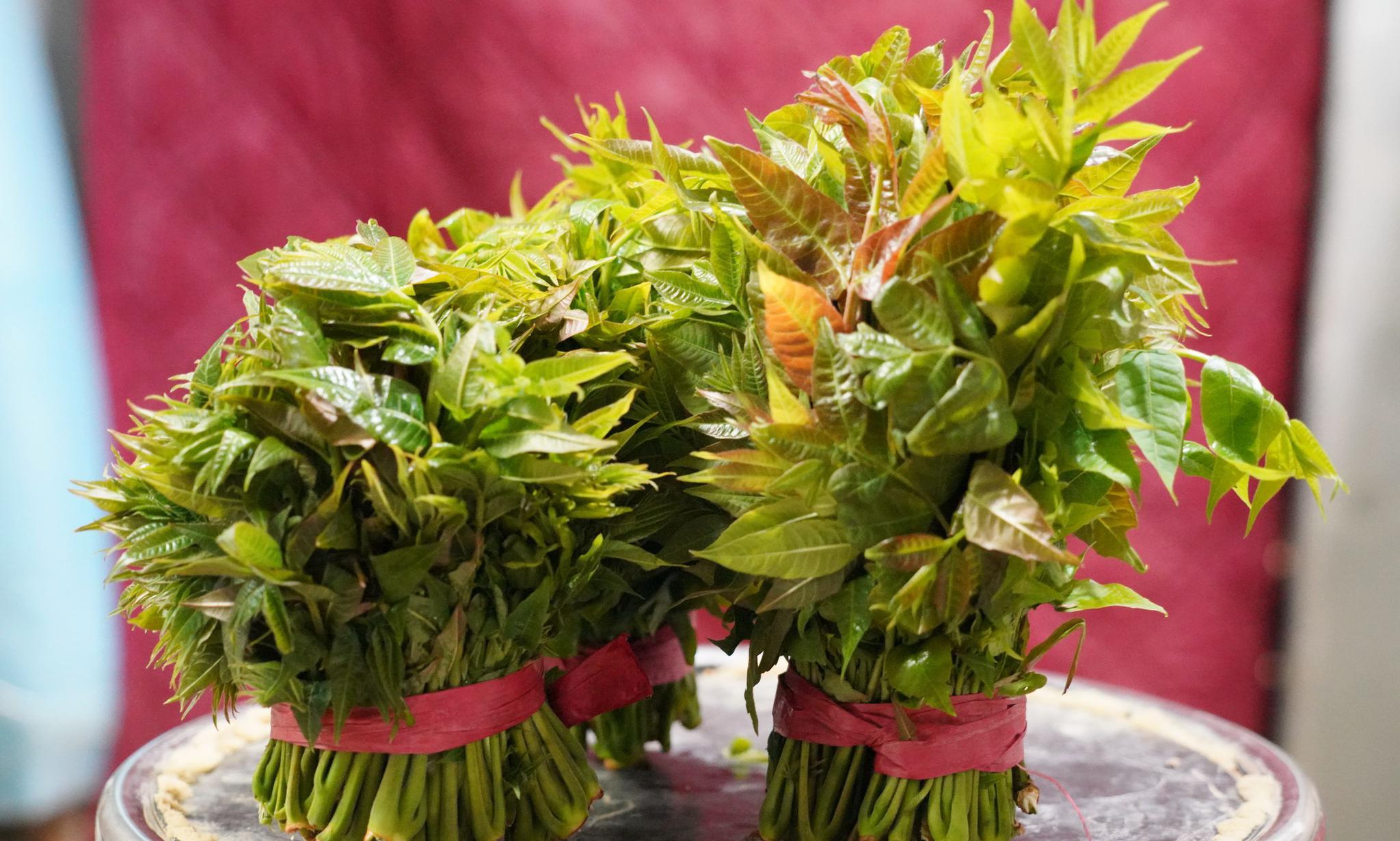 山西农民卖树芽1斤46元供不应求看看是个啥