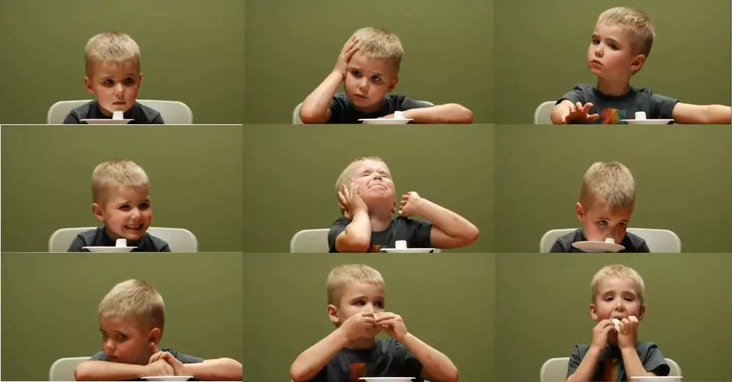 以"延迟满足感"的名义伤害亲子关系,这是很多父母在做的事情