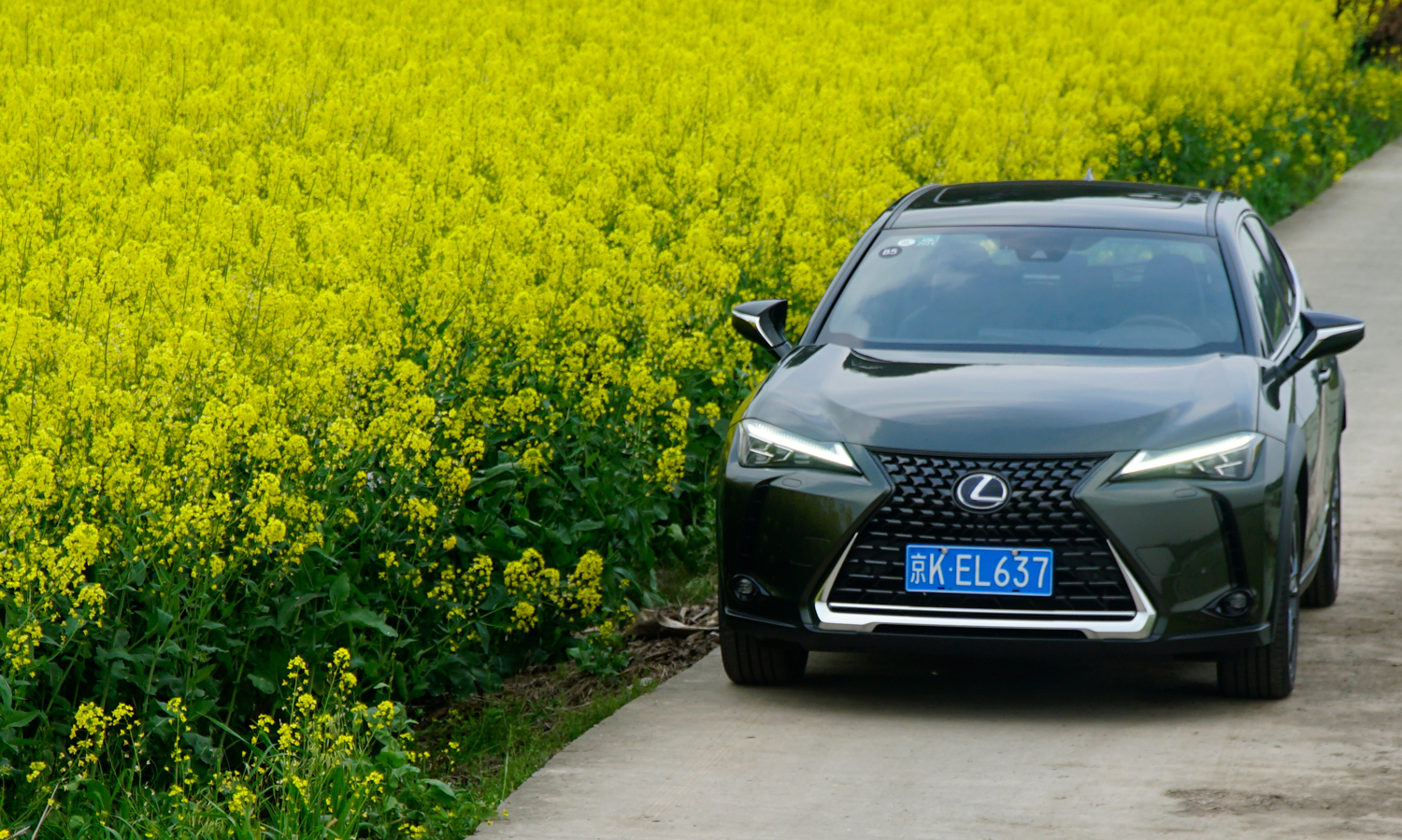 成都试驾都市豪华suv雷克萨斯ux 260h