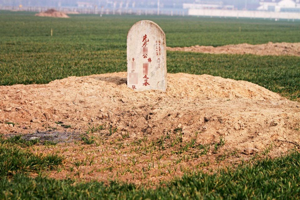 那年河南周口平坟:坟头虽然平掉了,谁也不愿在祖坟上种庄稼!