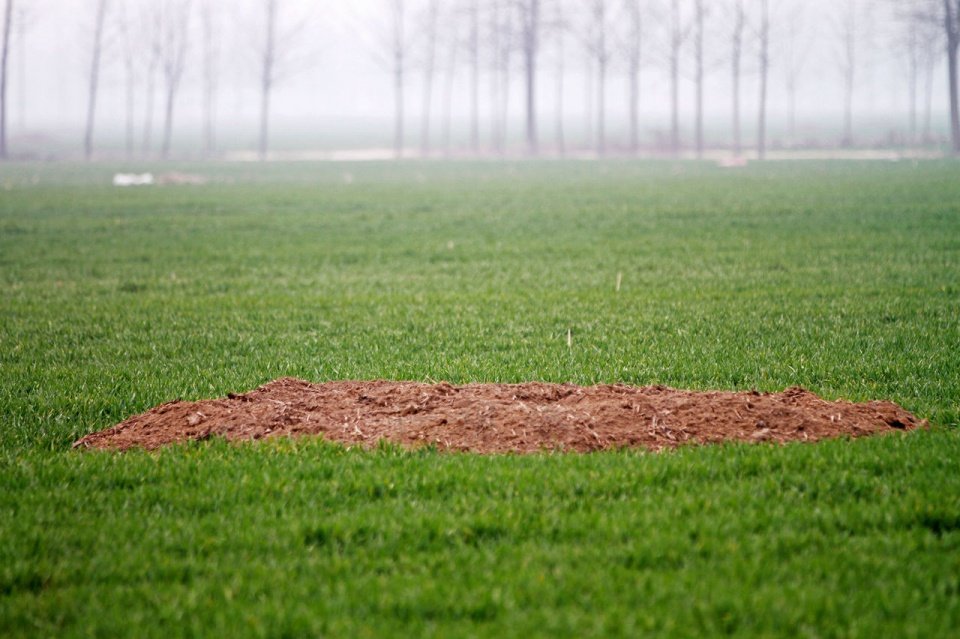 那年河南周口平坟:坟头虽然平掉了,谁也不愿在祖坟上种庄稼!