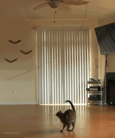 400_480gif 动态图 动图