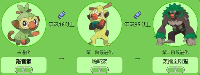 我们再来说说泪眼蜥的最终进化形态,千面避役,是不是很多朋友看到之后