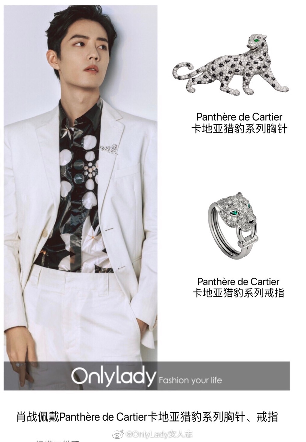 亮相,内搭印花衬衫复古优雅,panthère de cartier卡地亚猎豹系列胸针