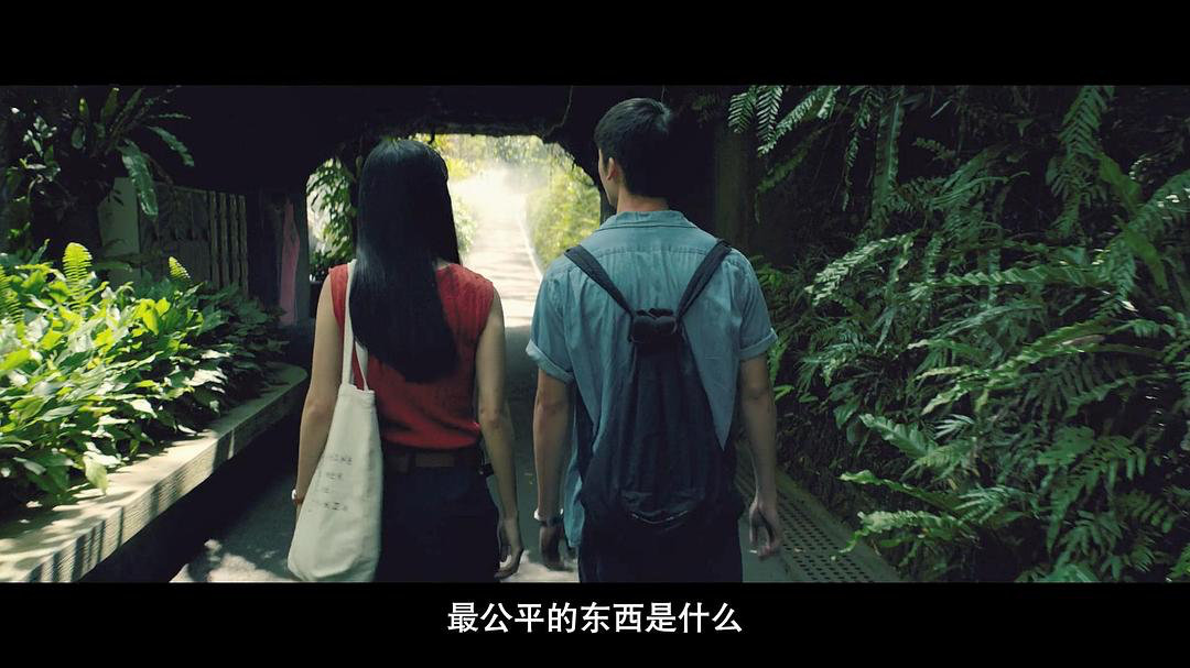 阳光普照 为什么有些生命无处躲藏 大佛普拉斯 第四张画 新浪新闻 阳光普照 为什么有些生命无处躲藏 大佛普拉斯 第四张画 新浪新闻