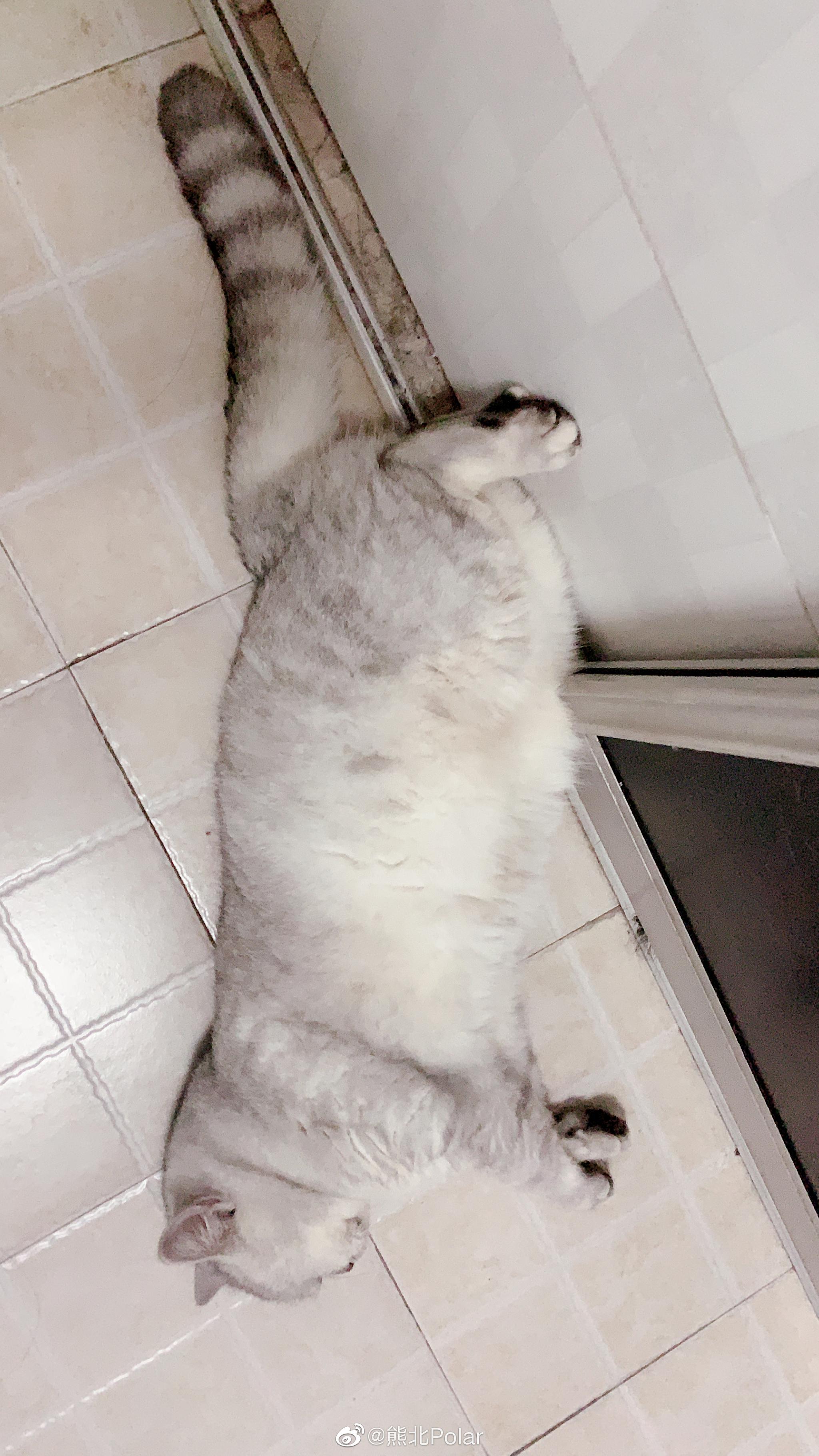 别人夏天会瘦 只有她在夏天一直变胖