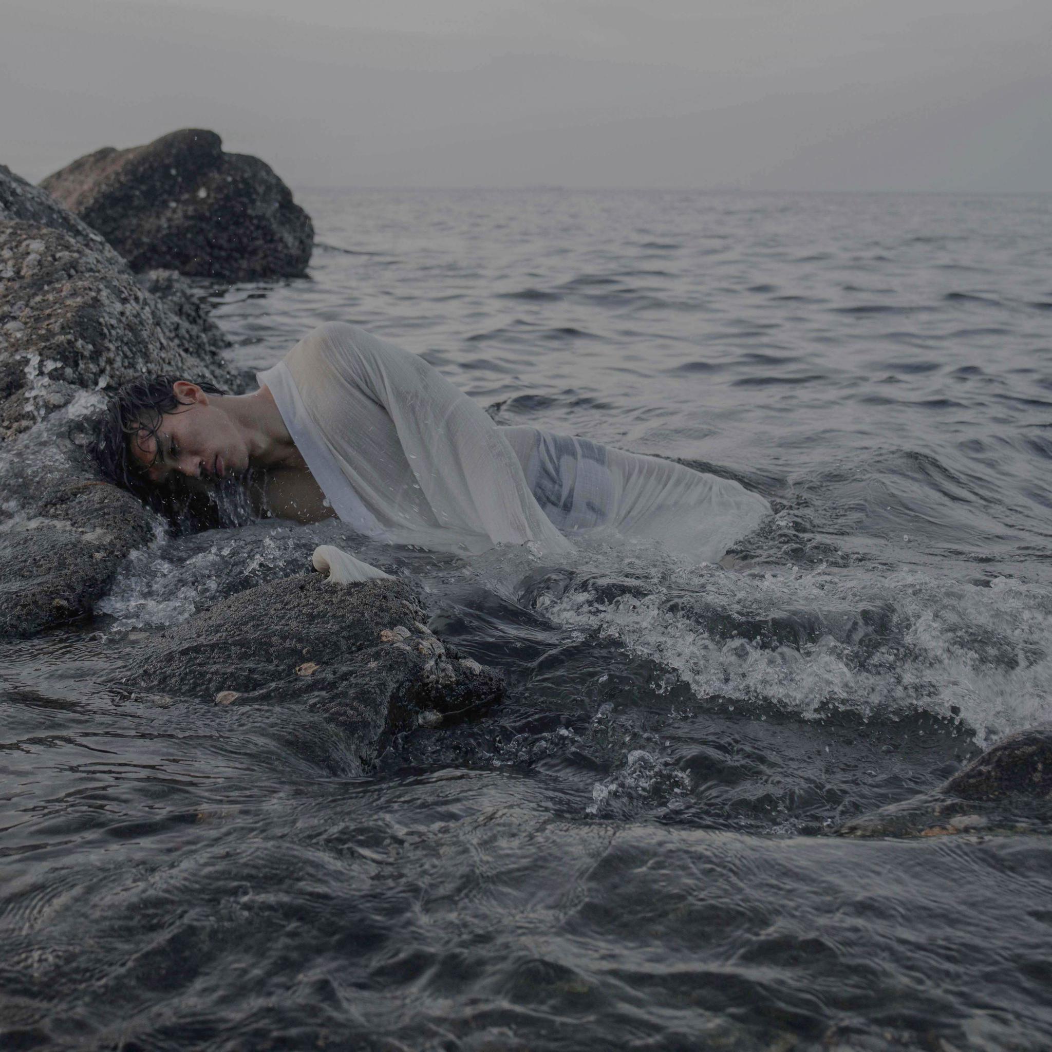 人生成长与自然智慧 喜鹊窝不怕风雨的奥秘