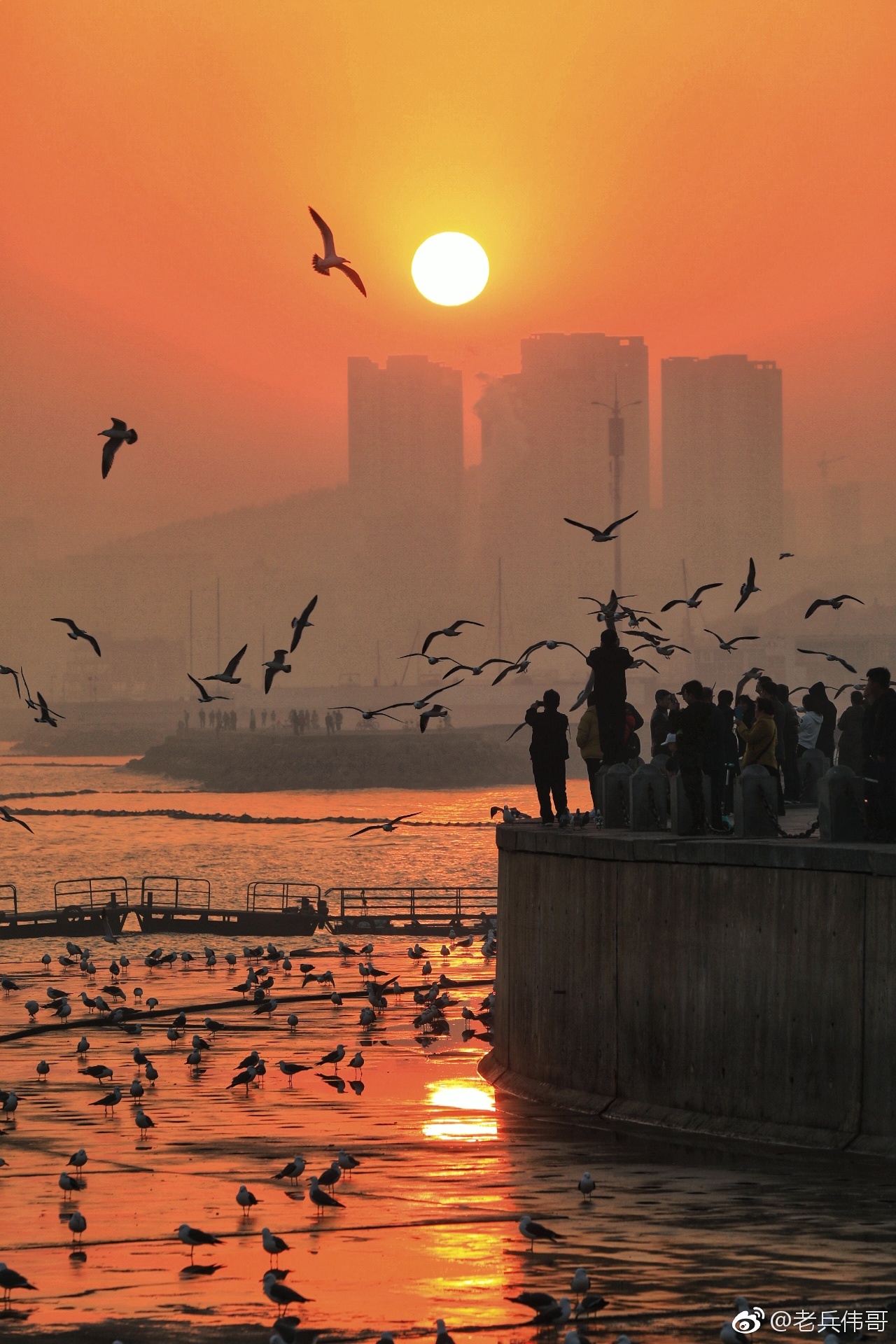遇见大连•金色星海湾|星海湾|夕晖|楼群_新浪新闻