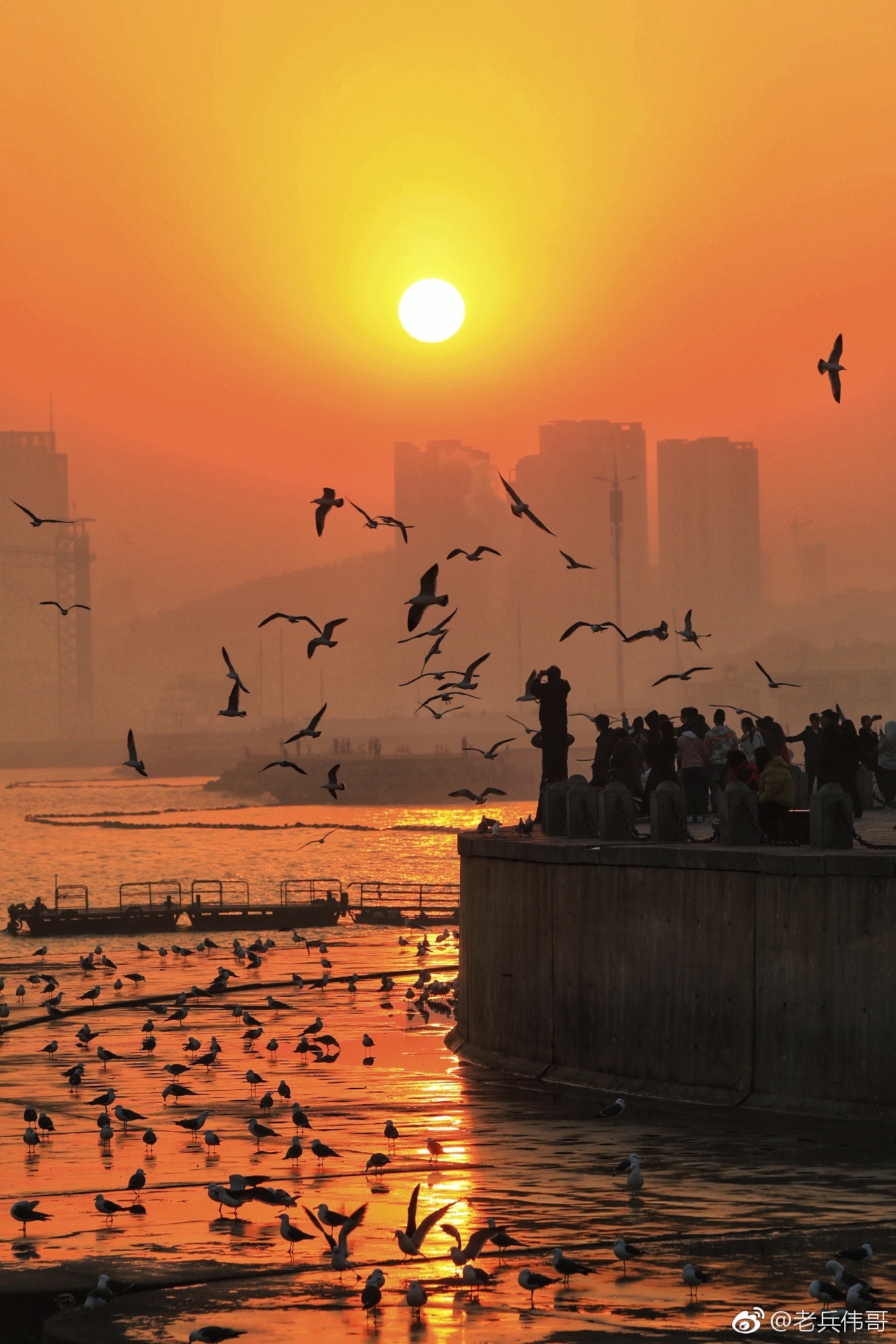 遇见大连•金色星海湾|星海湾|夕晖|楼群_新浪新闻