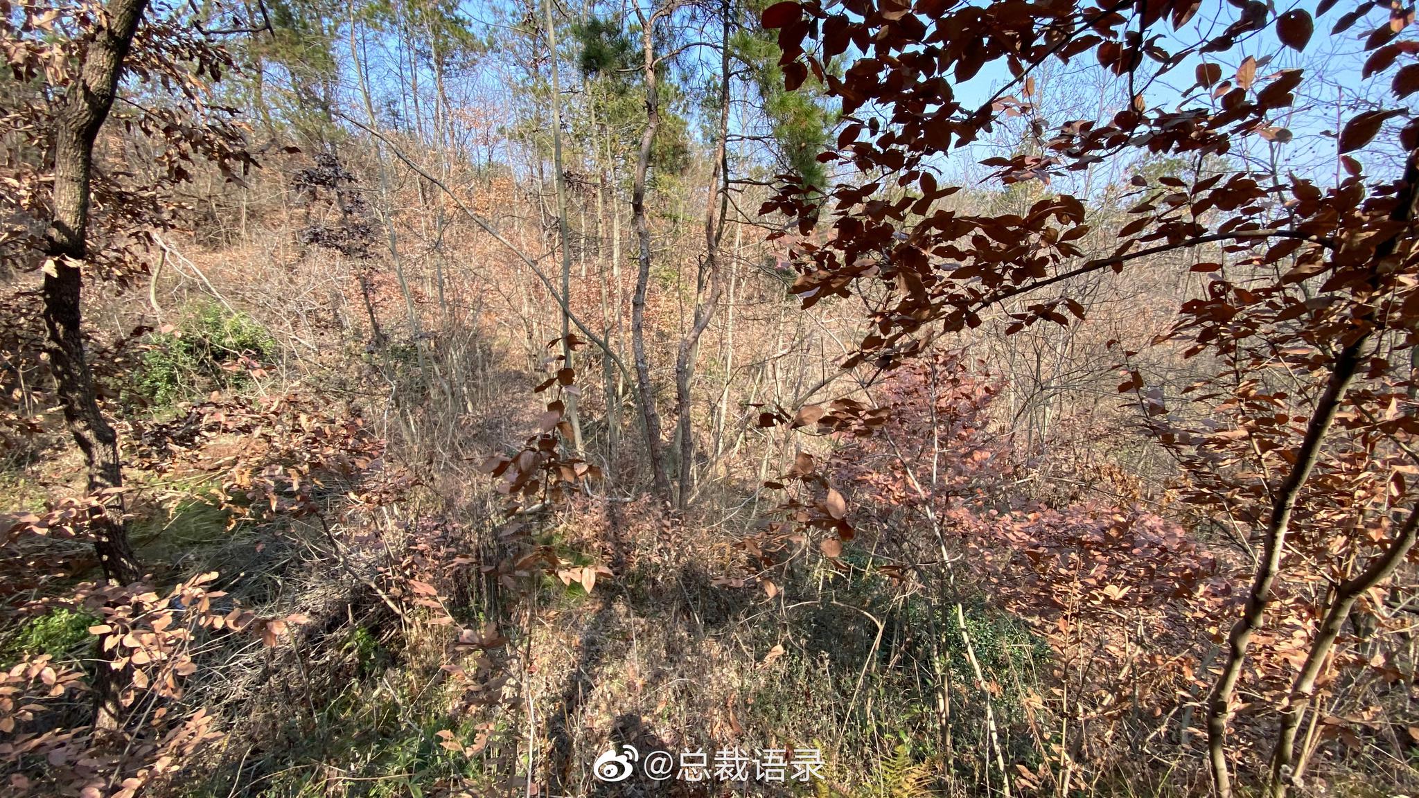 这几天每天坚持去爬山,渐渐地也不怀疑自己有什么病了